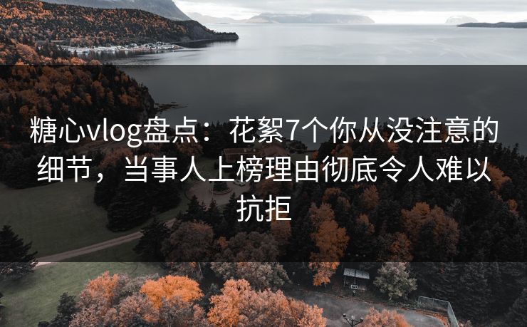 糖心vlog盘点：花絮7个你从没注意的细节，当事人上榜理由彻底令人难以抗拒