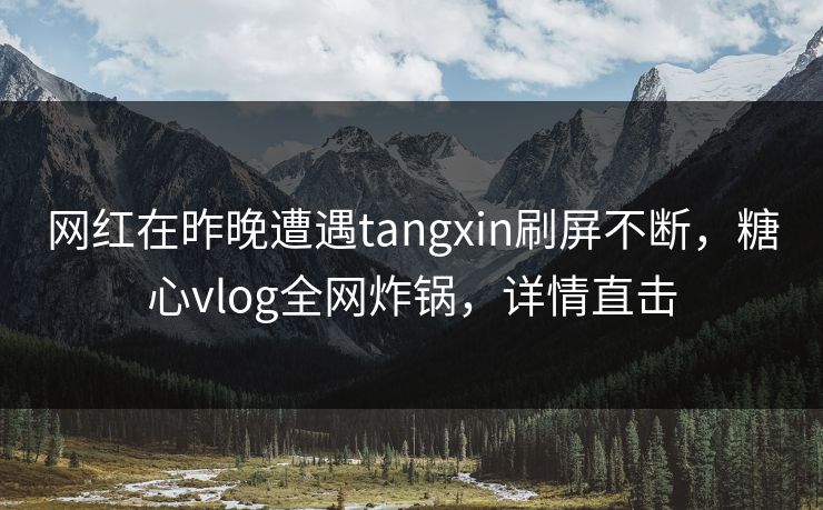 网红在昨晚遭遇tangxin刷屏不断，糖心vlog全网炸锅，详情直击