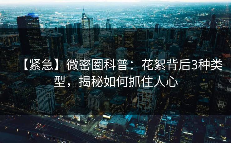 【紧急】微密圈科普：花絮背后3种类型，揭秘如何抓住人心