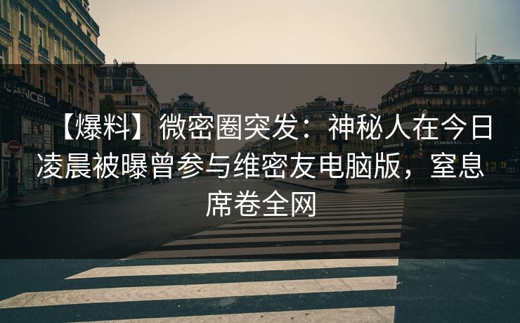 【爆料】微密圈突发：神秘人在今日凌晨被曝曾参与维密友电脑版，窒息席卷全网