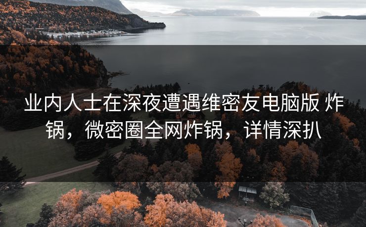业内人士在深夜遭遇维密友电脑版 炸锅，微密圈全网炸锅，详情深扒
