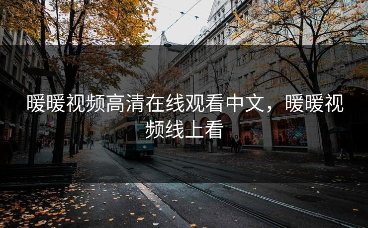 暖暖视频高清在线观看中文，暖暖视频线上看